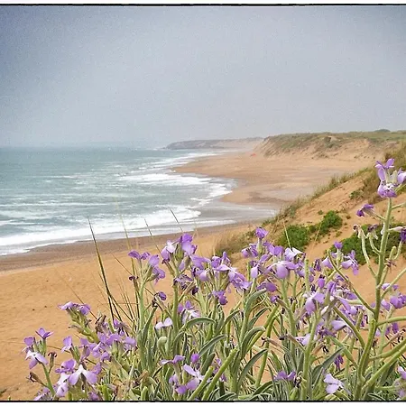 Hébergement de vacances La Pinede 350m De La