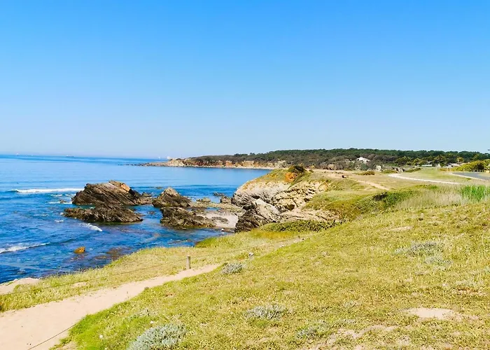 La Pinede 350m De La *